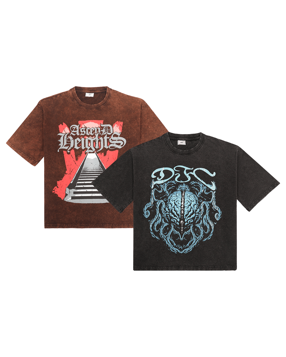 BRAINWAVE & ASCEND HEIGHTS